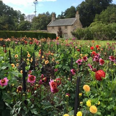 可以上下分捕鱼appapp下载