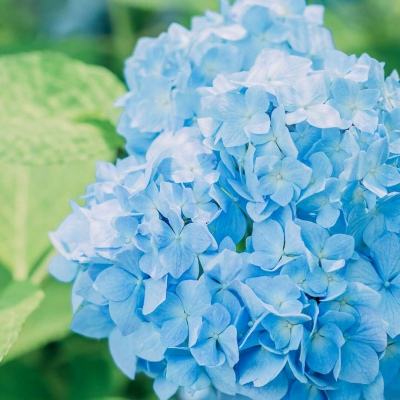 万博ManBetX登录网页版下载手机版