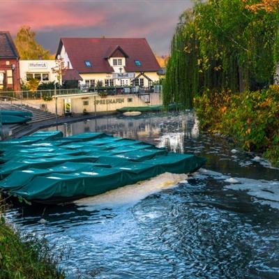 博鱼(boyu)·体育