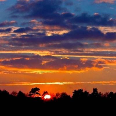 NG28加拿大软件下载